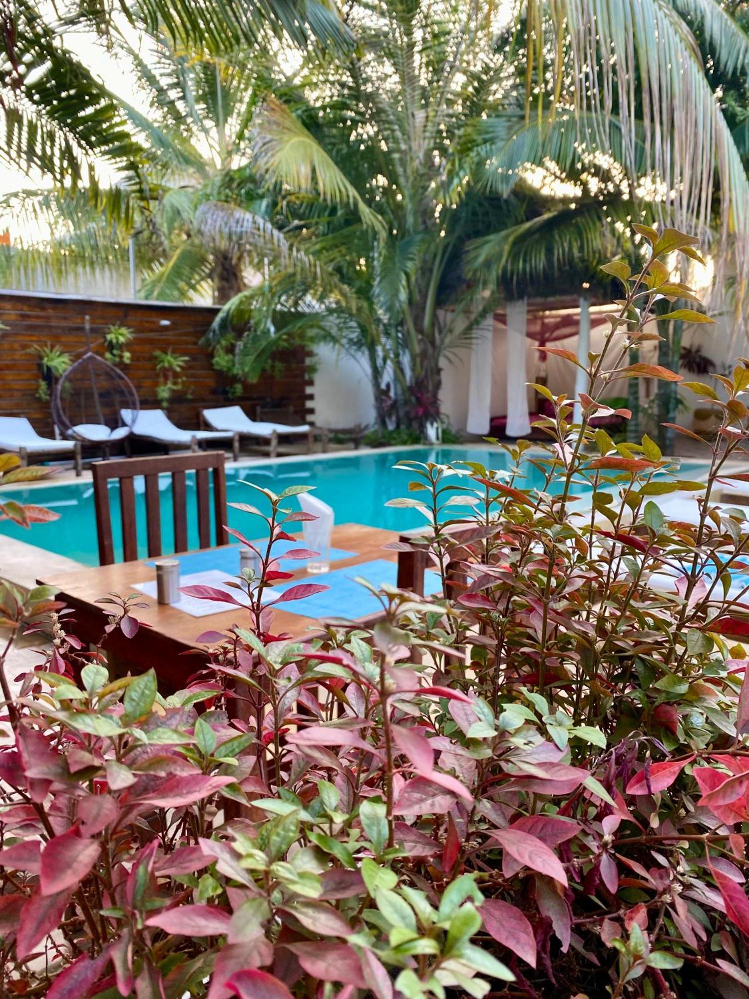 Cezere The Palm Hotel ปาเยอ ภายนอก รูปภาพ