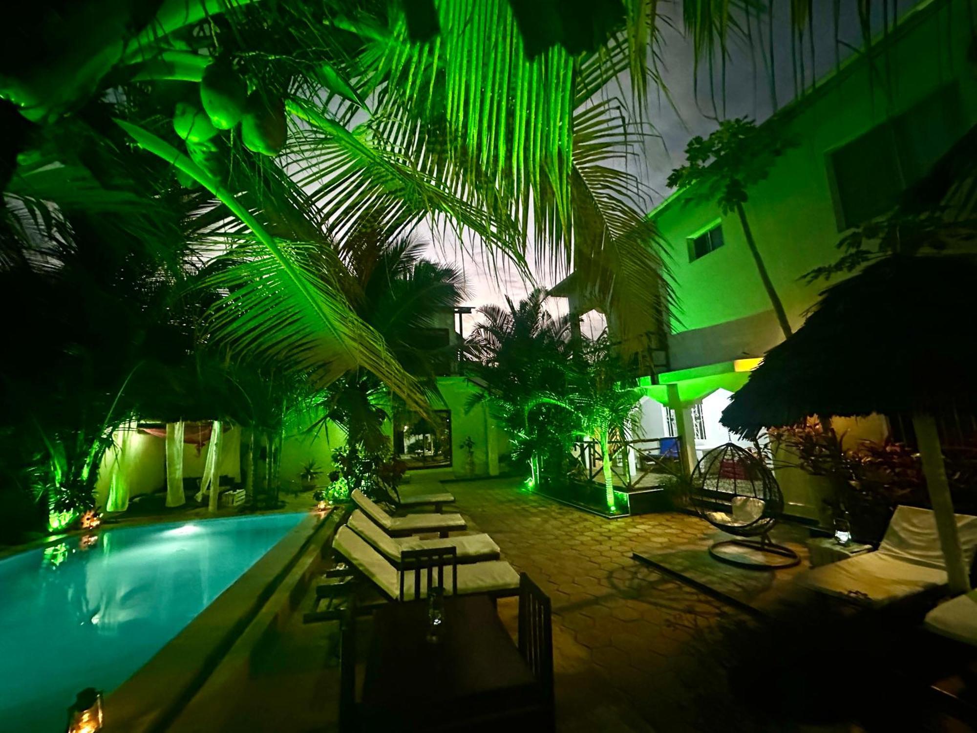 Cezere The Palm Hotel ปาเยอ ภายนอก รูปภาพ